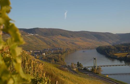 Wehlen Hotel | Wein- und Landhaus S A Prüm