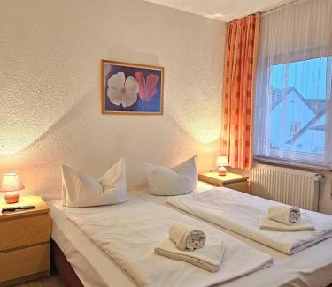 Mainz-Bingen Hotel | Weinhotel des Riesling Zum Grünen Kranz