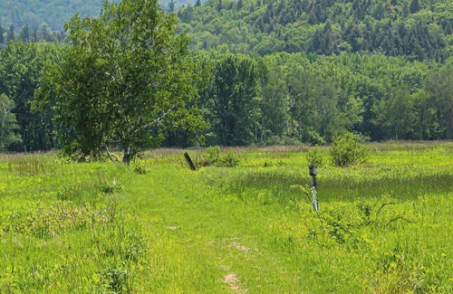 Shelburne Cottage | White Mountain Cottage, Birchcliff