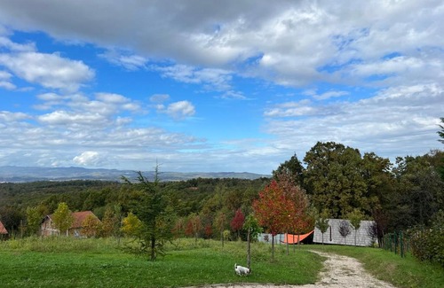 Banja Luka House | Wood Cabin Hillside Retreat