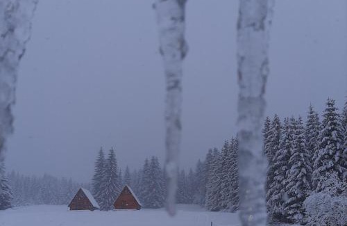 Zabljak Ski Chalet | Wooden cottage Podgora