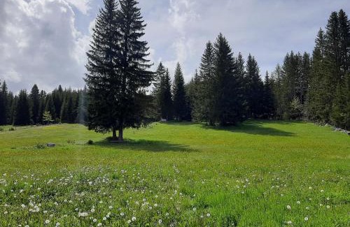 Zabljak Ski Chalet | Wooden cottage Podgora