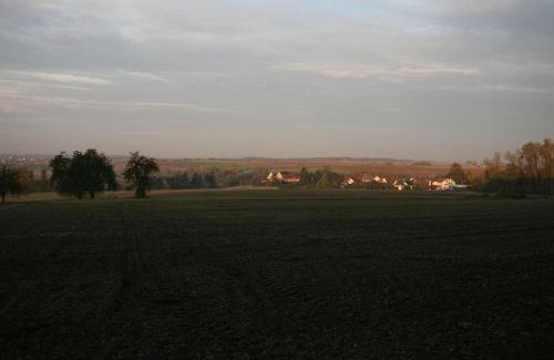 Neuses am Sand Hotel | Worners Schloss Weingut & Wellness-Hotel