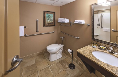 South Loop Hotel | Wyndham Bloomington - Mall of America