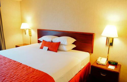 San Nicolas de los Garza Hotel | Wyndham Garden Monterrey Norte