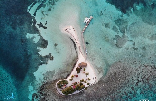 San Pedro Boat Rental | Xsite Belize Sailing Catamaran in Belize