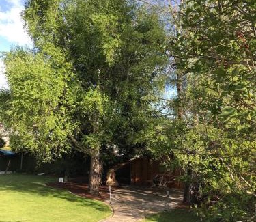 Neumarkt in Steiermark Apartment | YOGA WOHLFÜHLOASE im Grünen