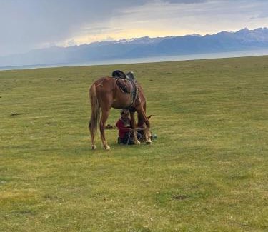 Naryn Region Cabin | yurt camp QUMUSH ETNO