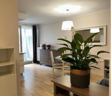Zaspa Apartment | Zaspa