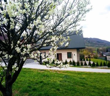 Polany House | Zielone Zacisze domki