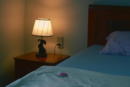 Đông Lưu Homestay