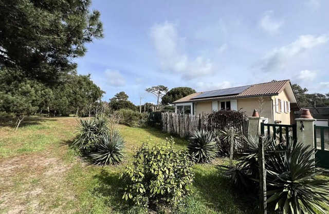 058 - Peaceful little corner next to the pines and 200m from the ocean