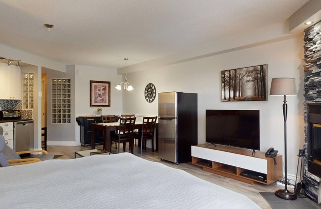 1-313 : Superior Studio - sleeps 4.