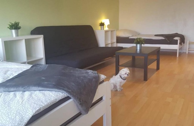 1 A Ferienwohnung Modern Duisburg