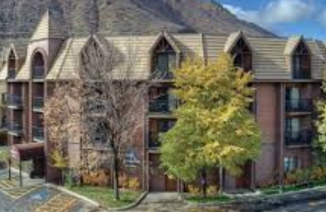 1 Bed/1 Bath Suite Durango, CO!