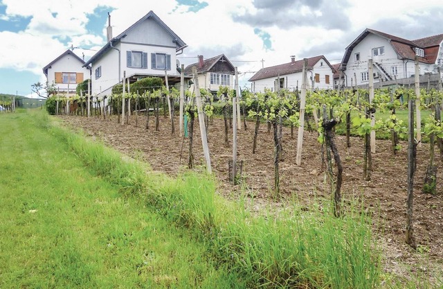 1 bedroom apartment in Hannersdorf