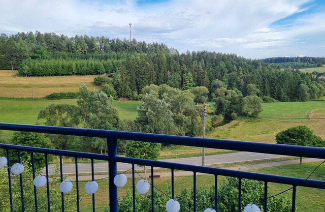 1 bedroom apartment in zimmern or