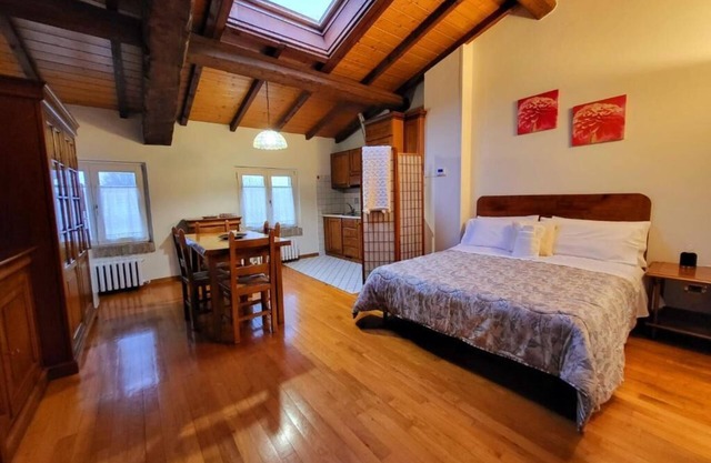 1 Bedroom Apartment in Modena