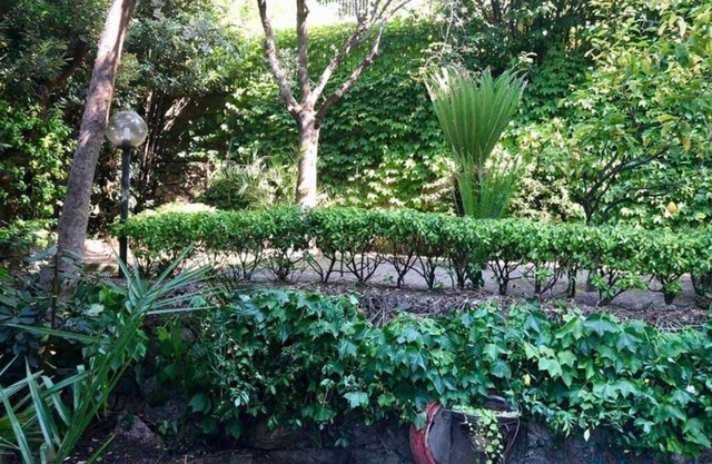 1 Bedroom Apartment in Varigotti
