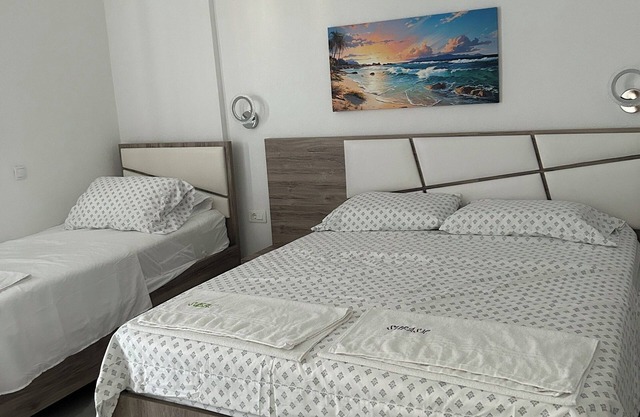 1 bedroom apartment with balcony - Apartments Subashi room 301