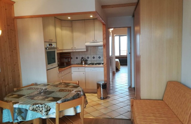 1-bedroom apt 500m from slopes with south/west balcony