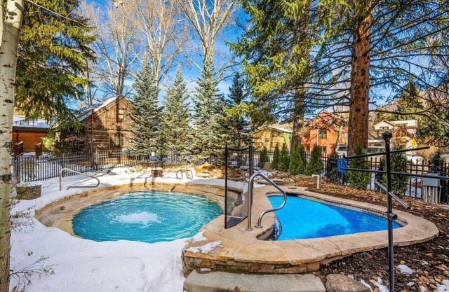 1 Bedroom Aspen Mountain Escape