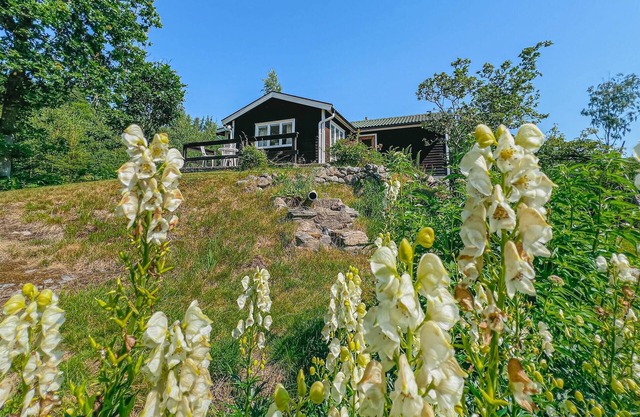 1 bedroom beautiful home in Ljungskile
