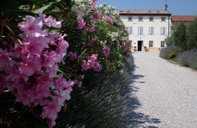 1 bedroom bed & breakfast in veneto