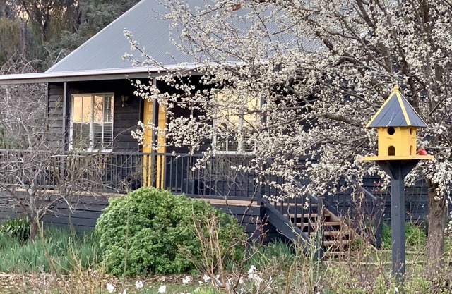 1 bedroom cottage