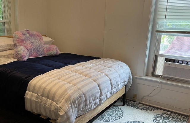 1 Bedroom cozy unit in Oswego near SUNY and Hospital