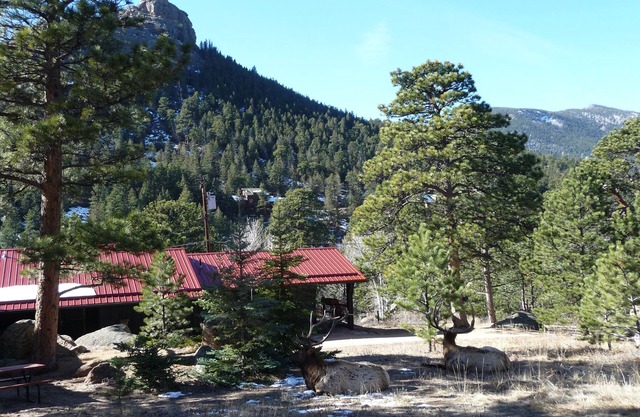 1-bedroom plus wall-bed sleeps 4, just 15-minute walk to Historic Estes Park