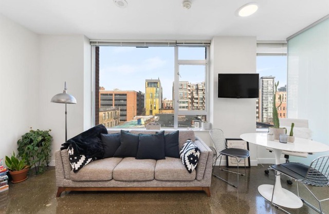 1 BR Downtown Beautiful Apartment