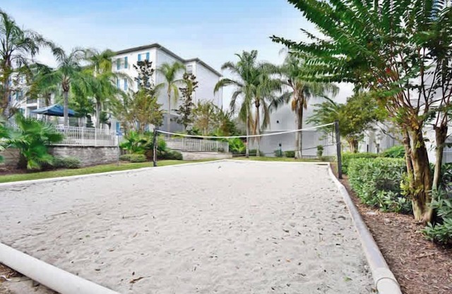 1 MI to USF! Budget Friendly, Pool, GYM