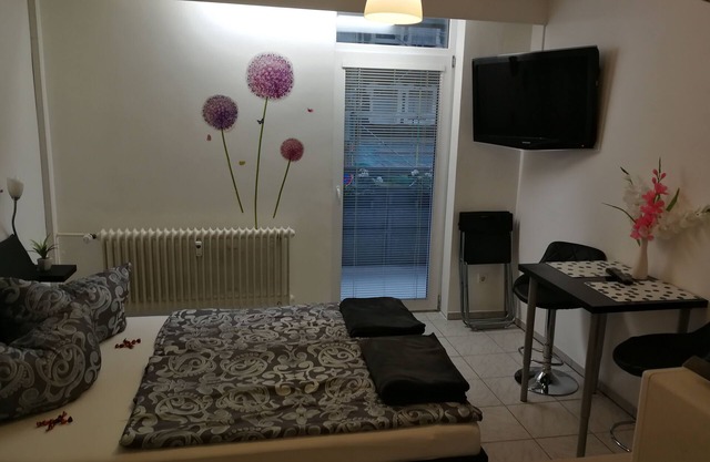 1 room apartment SMALL but FINE