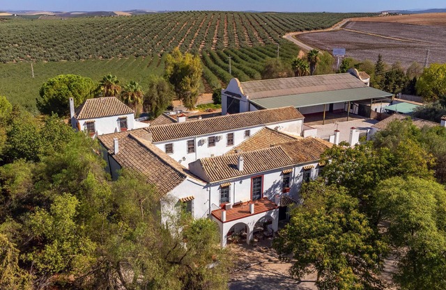 10 bedroom stunning home in Santaella