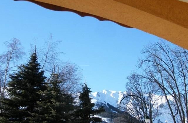 100m from ski slopes, view mountain/mountain, terrace, tv, ski locker, 32m²