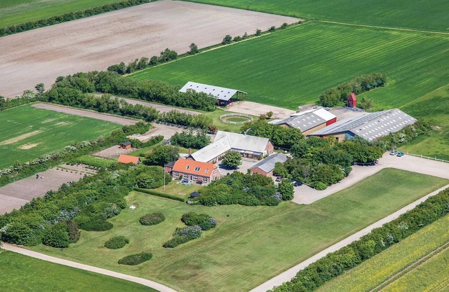 11 bedroom beautiful home in Ringkøbing