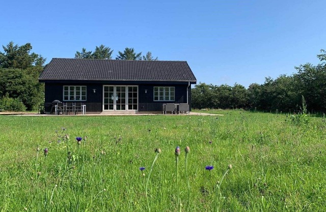 1136 Ringkøbing - Hovervej 61