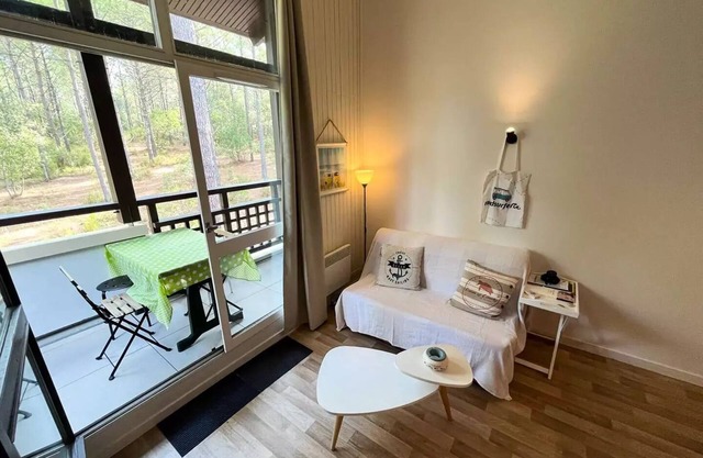 132 - Lake Maubuisson apartment