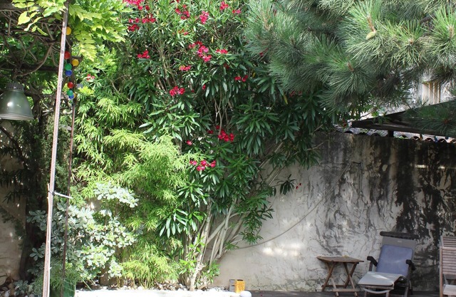 18 Century Provencal Mas With Swimming Pool
