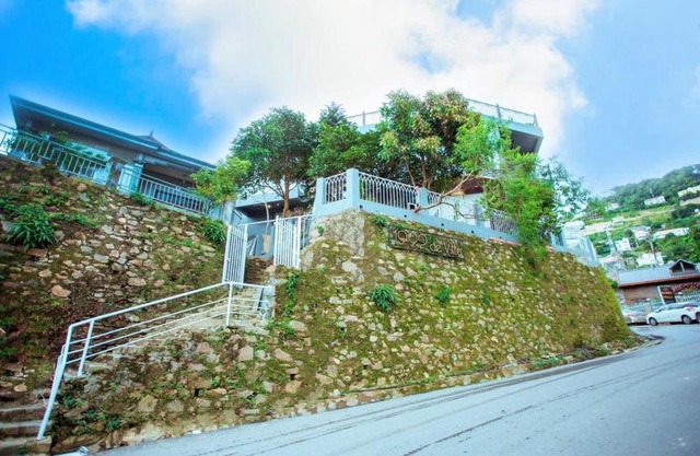 1992 Tam Đảo - Venuestay
