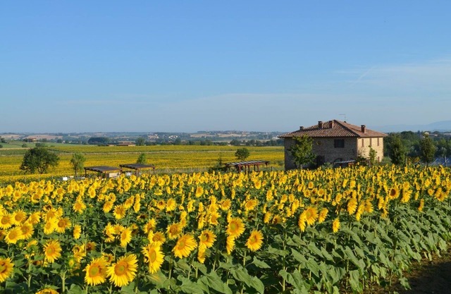 19th century stone villa with private pool and garden/6 sleeps/pet friendly