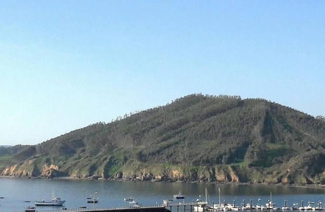 1ª LÍNEA DE PLAYA, VISTAS AL MAR Y MUY CÉNTRICO.