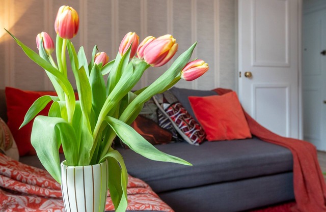 1BR Flat Covent Garden - Sleeps 4 - Prime Spot - WiFi - Discounts on Stays
