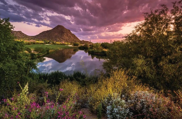1BR Scottsdale Villa - Full Amenities. Less than a mile to TPC Scottsdale Golf!