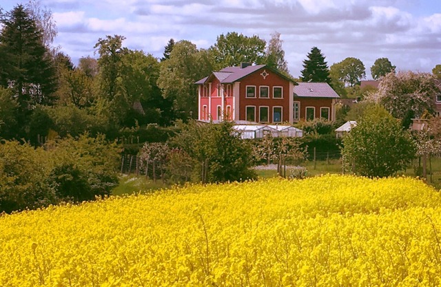 2.5 room apartment in Kiel and near the canal in the beautiful villa estate