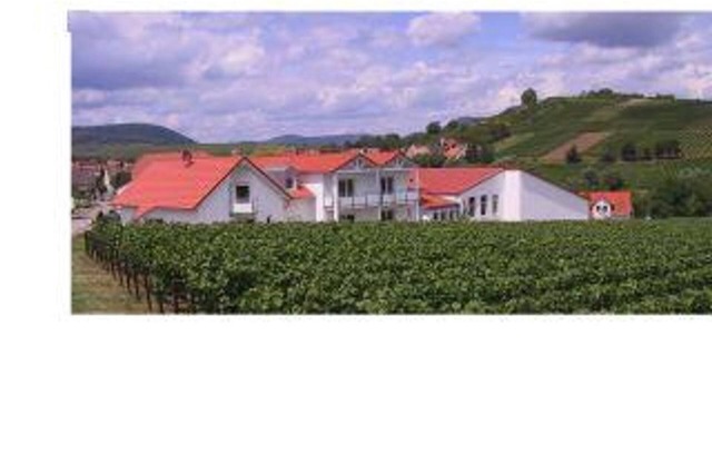 2-bed apartment "2a" - Weingut-Gästehaus Hans Dieter Bosch