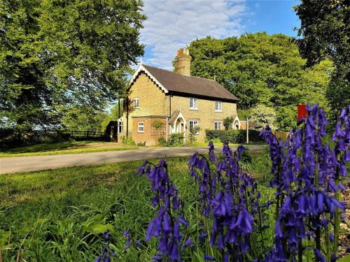 2 Bed in Alford 77637