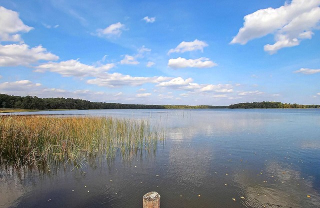 2 bedroom accommodation in Rheinsberg OT Warenthi