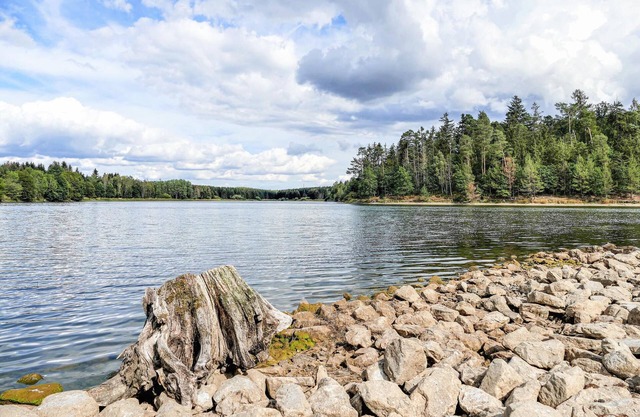 2 bedroom accommodation in Dankerode